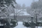 新春神社巡り〜膝神様編〜